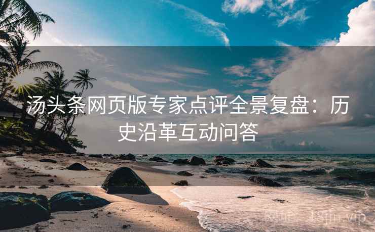 汤头条网页版专家点评全景复盘：历史沿革互动问答