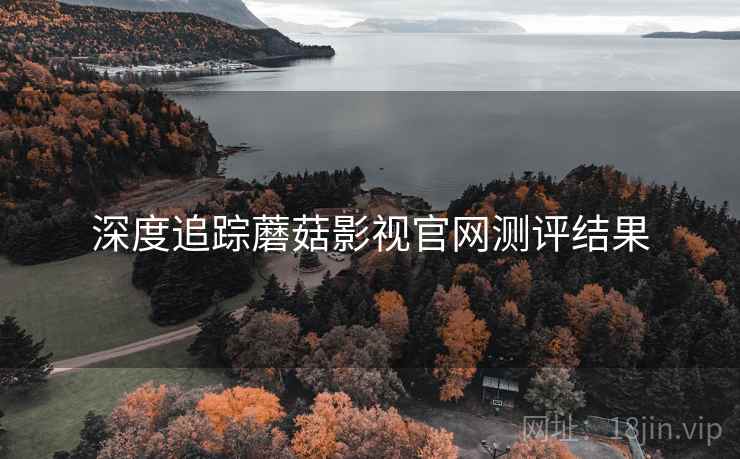 深度追踪蘑菇影视官网测评结果